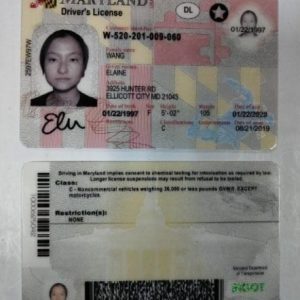 buy maryland driver’s license and id card