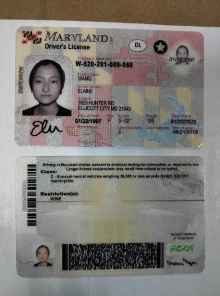 buy maryland driver’s license and id card buy maryland driver’s license and id card