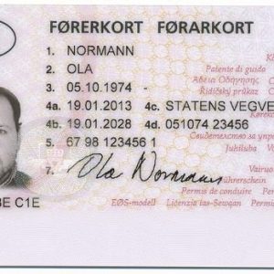 buy netherlands driver’s license