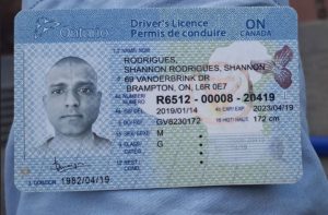 Buy Canada Driver’s License